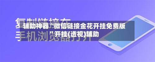 辅助神器“微信链接金花开挂免费版”开挂(透视)辅助-第3张图片