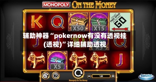 辅助神器“pokernow有没有透视挂(透视)”详细辅助透视-第3张图片
