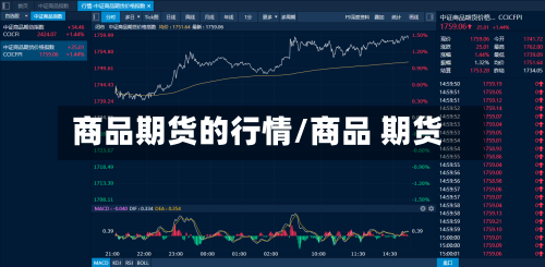 商品期货的行情/商品 期货