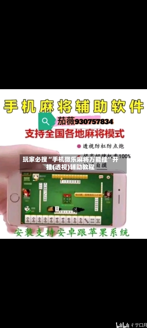 玩家必搜“手机微乐麻将万能挂	”开挂(透视)辅助教程-第2张图片