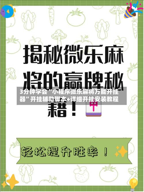 3分钟学会“小程序微乐麻将万能开挂器”开挂辅助脚本+详细开挂安装教程-第3张图片