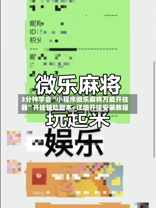 3分钟学会“小程序微乐麻将万能开挂器	”开挂辅助脚本+详细开挂安装教程-第2张图片