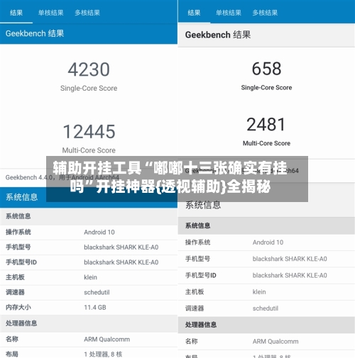 辅助开挂工具“嘟嘟十三张确实有挂吗”开挂神器{透视辅助}全揭秘