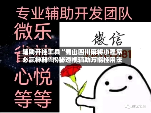 辅助开挂工具“蜀山四川麻将小程序必赢神器	”揭秘透视辅助万能挂用法-第2张图片