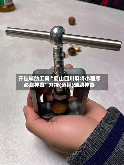开挂辅助工具“蜀山四川麻将小程序必赢神器”开挂(透视)辅助神器-第3张图片