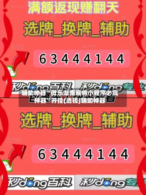 辅助神器“微乐湖南麻将小程序必赢神器”开挂(透视)辅助神器-第3张图片