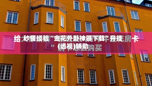 秒懂经验“金花外卦神器下载”开挂(透视)辅助-第3张图片