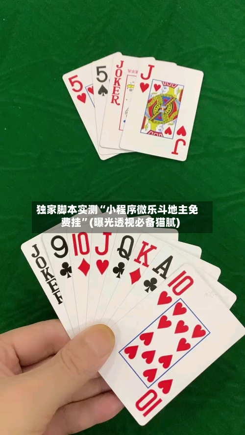 独家脚本实测“小程序微乐斗地主免费挂”(曝光透视必备猫腻)-第2张图片