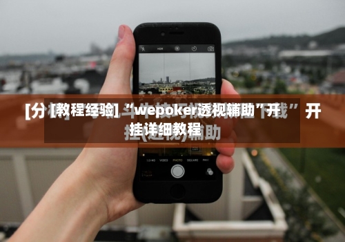 [教程经验] “wepoker透视辅助”开挂详细教程