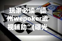玩家必读“德州wepoker透视辅助”(曝光透视必备猫腻)-第2张图片