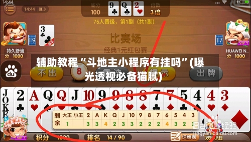 辅助教程“斗地主小程序有挂吗”(曝光透视必备猫腻)-第2张图片