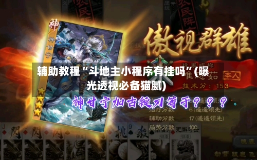 辅助教程“斗地主小程序有挂吗	”(曝光透视必备猫腻)-第3张图片