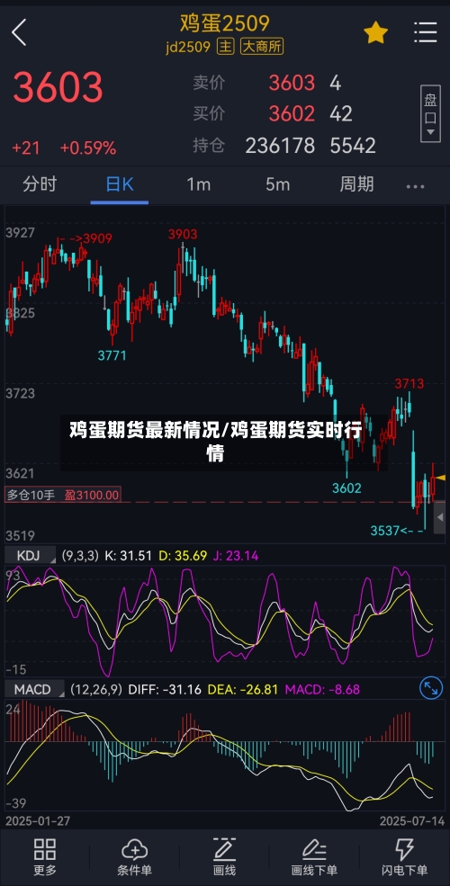 鸡蛋期货最新情况/鸡蛋期货实时行情-第3张图片