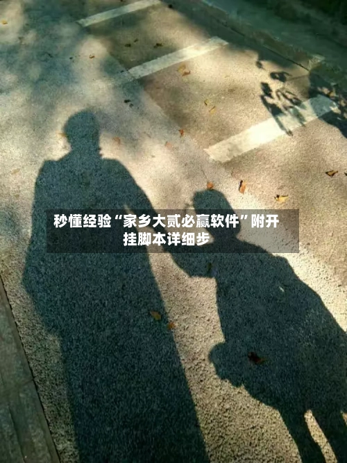 秒懂经验“家乡大贰必赢软件”附开挂脚本详细步-第2张图片