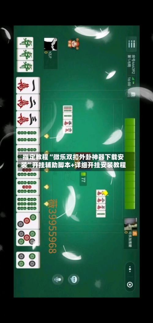 指定教程“微乐双扣外卦神器下载安装	”开挂辅助脚本+详细开挂安装教程-第2张图片