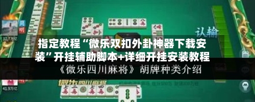 指定教程“微乐双扣外卦神器下载安装”开挂辅助脚本+详细开挂安装教程-第3张图片