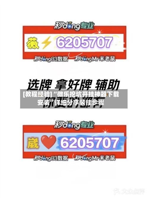 [教程经验]“微乐挖坑开挂神器下载安装”详细分享装挂步骤-第2张图片