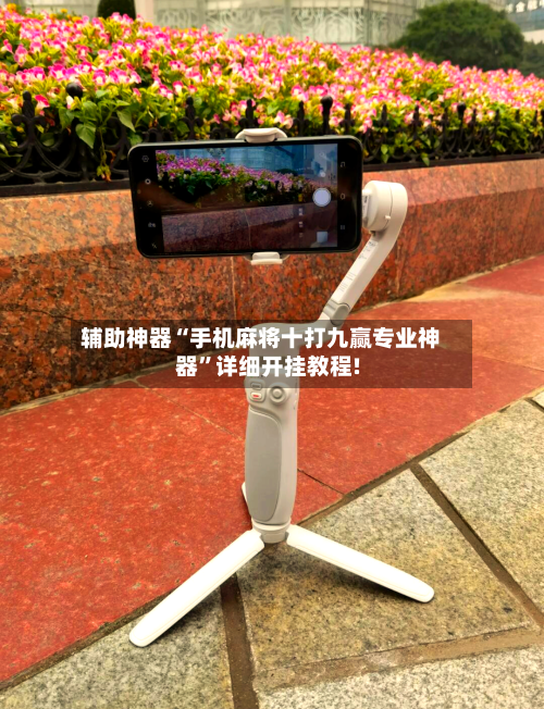 辅助神器“手机麻将十打九赢专业神器	”详细开挂教程!-第2张图片