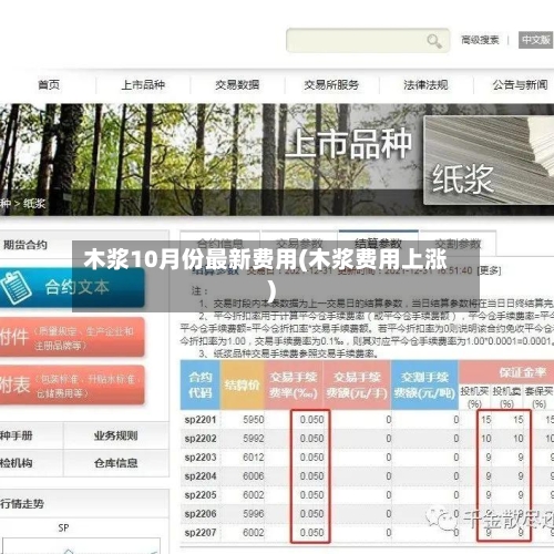 木浆10月份最新费用(木浆费用上涨)