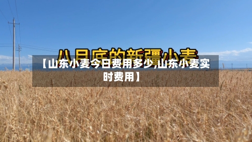 【山东小麦今日费用多少,山东小麦实时费用】-第2张图片