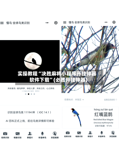 实操教程“决胜麻将小程序开挂神器软件下载”(必胜开挂神器)-第2张图片