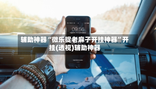 辅助神器“微乐捉老麻子开挂神器	”开挂(透视)辅助神器-第2张图片