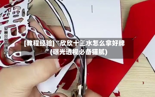 [教程经验]“欣欣十三水怎么拿好牌	”(曝光透视必备猫腻)-第3张图片