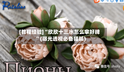 [教程经验]“欣欣十三水怎么拿好牌”(曝光透视必备猫腻)-第2张图片