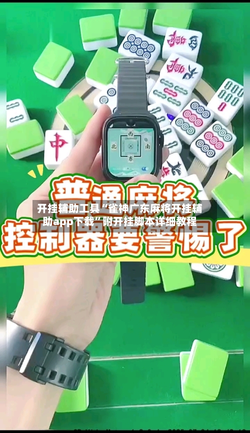 开挂辅助工具“雀神广东麻将开挂辅助app下载	”附开挂脚本详细教程-第2张图片