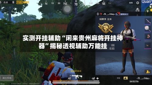 实测开挂辅助“闲来贵州麻将开挂神器”揭秘透视辅助万能挂-第3张图片