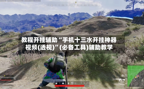 教程开挂辅助“手机十三水开挂神器视频(透视)”(必备工具)辅助教学-第2张图片