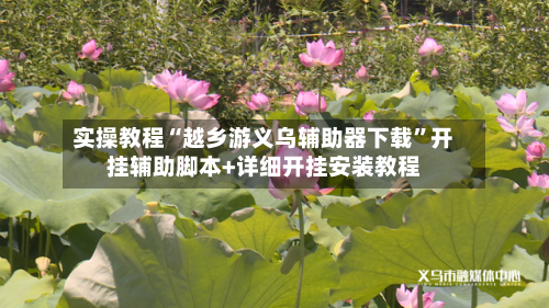 实操教程“越乡游义乌辅助器下载”开挂辅助脚本+详细开挂安装教程