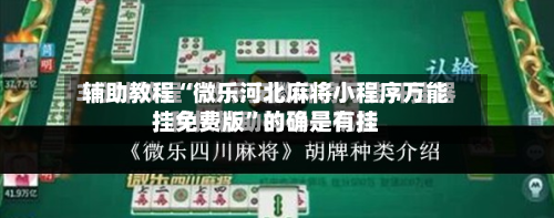 辅助教程“微乐河北麻将小程序万能挂免费版”的确是有挂-第3张图片