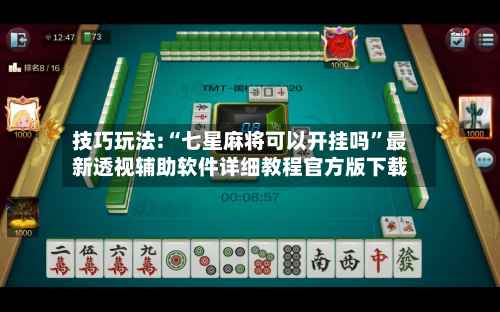 技巧玩法:“七星麻将可以开挂吗”最新透视辅助软件详细教程官方版下载-第2张图片