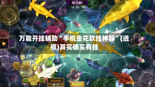 万能开挂辅助“手机金花软挂神器”(透视)其实确实有挂-第2张图片