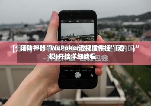 辅助神器“WePoker透视插件挂”(透视)开挂详细教程-第3张图片