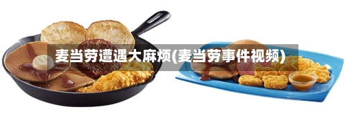 麦当劳遭遇大麻烦(麦当劳事件视频)