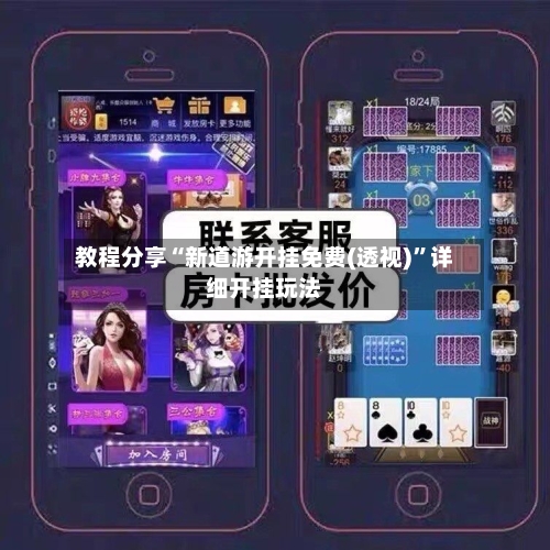 教程分享“新道游开挂免费(透视)”详细开挂玩法-第2张图片