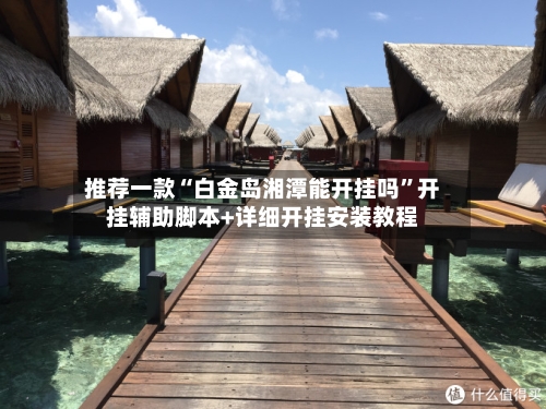推荐一款“白金岛湘潭能开挂吗”开挂辅助脚本+详细开挂安装教程-第2张图片