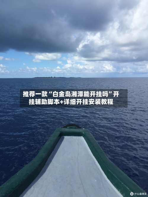 推荐一款“白金岛湘潭能开挂吗”开挂辅助脚本+详细开挂安装教程-第3张图片