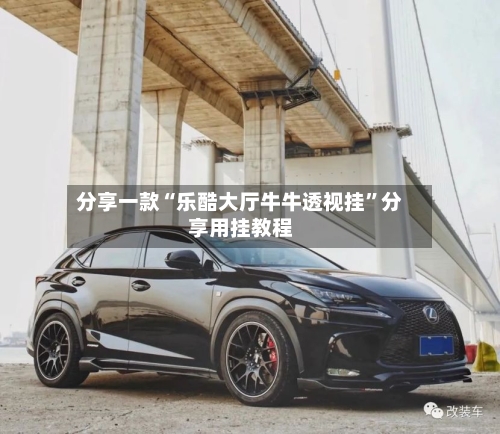 分享一款“乐酷大厅牛牛透视挂”分享用挂教程