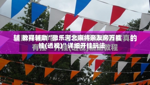 教程辅助“微乐河北麻将亲友房万能挂(透视)”详细开挂玩法-第2张图片