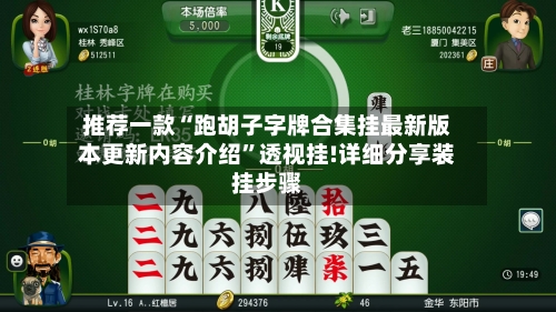 推荐一款“跑胡子字牌合集挂最新版本更新内容介绍”透视挂!详细分享装挂步骤-第3张图片
