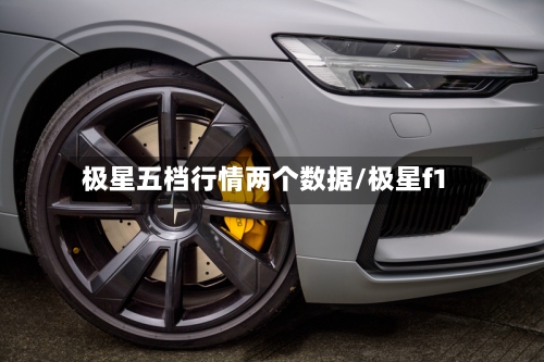 极星五档行情两个数据/极星f1