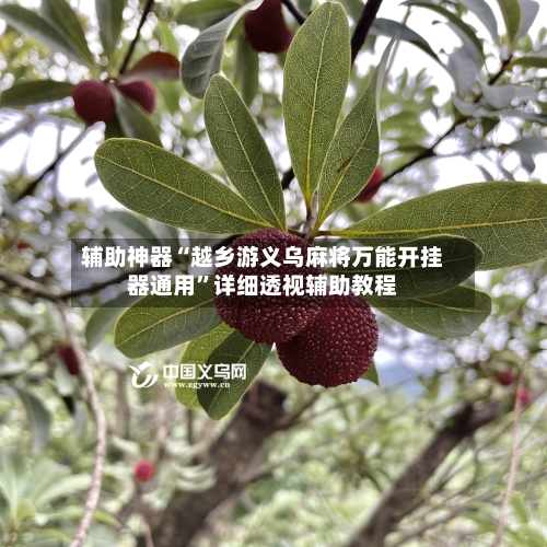 辅助神器“越乡游义乌麻将万能开挂器通用”详细透视辅助教程-第2张图片