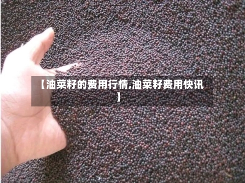 【油菜籽的费用行情,油菜籽费用快讯】