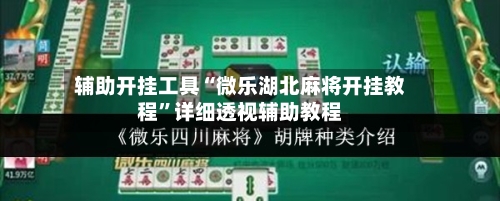 辅助开挂工具“微乐湖北麻将开挂教程”详细透视辅助教程-第2张图片