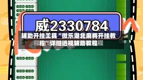 辅助开挂工具“微乐湖北麻将开挂教程	”详细透视辅助教程-第3张图片