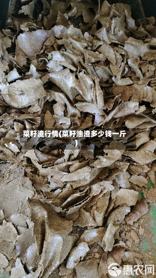 菜籽渣行情(菜籽油渣多少钱一斤)