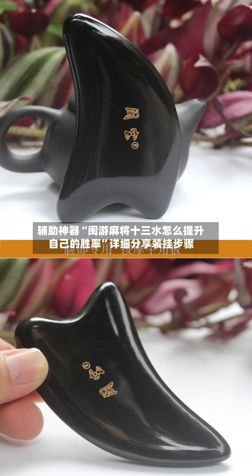 辅助神器“闽游麻将十三水怎么提升自己的胜率”详细分享装挂步骤-第3张图片